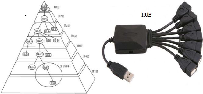 USB拓扑结构