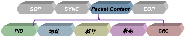 Packet内容