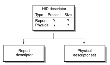 USB HID描述符