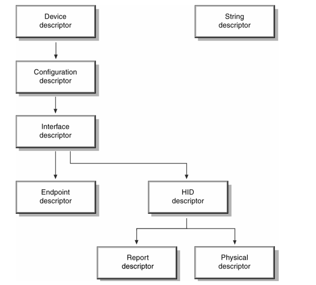 HID设备描述符架构